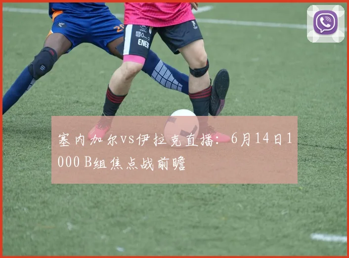 塞内加尔vs伊拉克直播:6月14日1000 B组焦点战前瞻